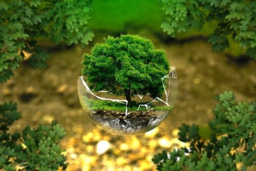 ESG, meio ambiente, natureza